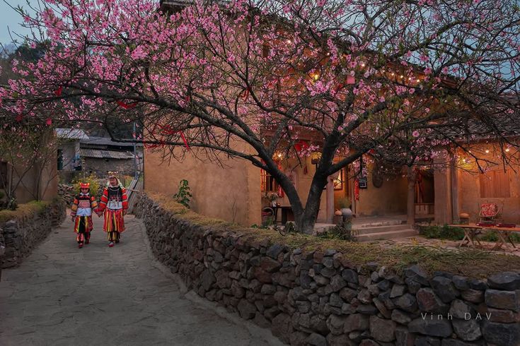 Lo Lo Chai Village - one of the best tourism villages in 2025